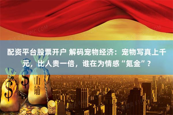 配资平台股票开户 解码宠物经济：宠物写真上千元，比人贵一倍，谁在为情感“氪金”？
