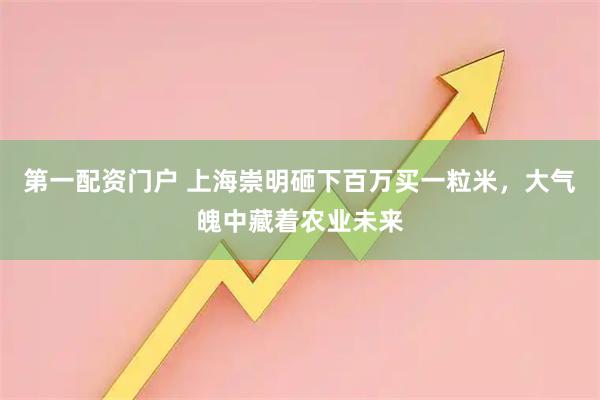 第一配资门户 上海崇明砸下百万买一粒米，大气魄中藏着农业未来